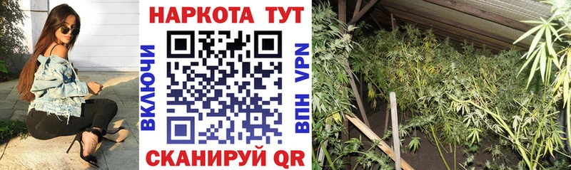 Купить наркоту Северо-Курильск Codein Меф Амфетамин Галлюциногенные грибы