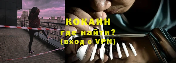 индика Краснотурьинск
