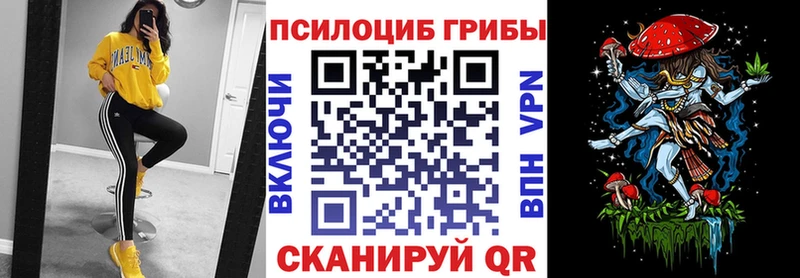 Галлюциногенные грибы GOLDEN TEACHER  Северо-Курильск 